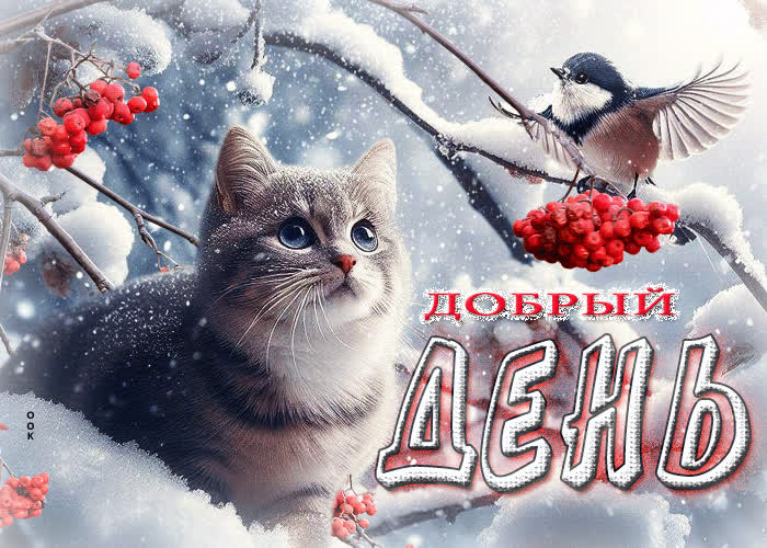 Picture морозная зимняя гиф-открытка добрый день