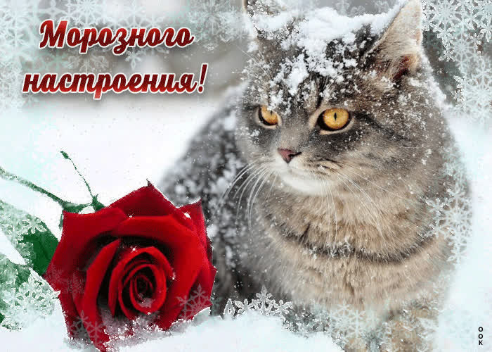 Картинка морозного настроения