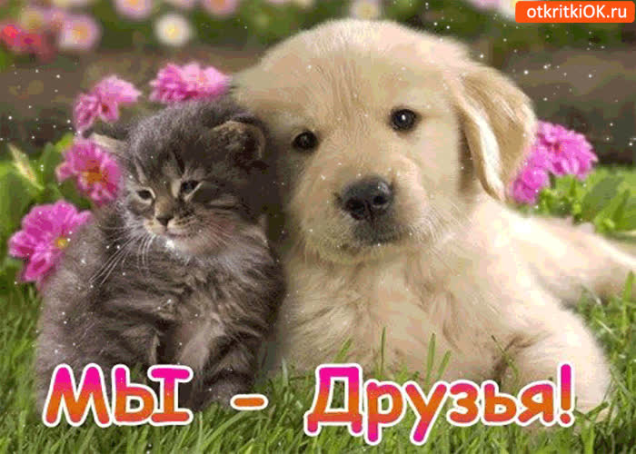 Картинка мы - друзья! и вместе навсегда