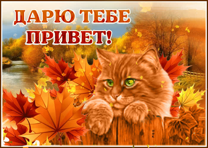 Картинка мягкий и пушистый приветик