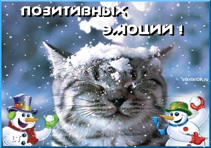 Картинка начало зимы