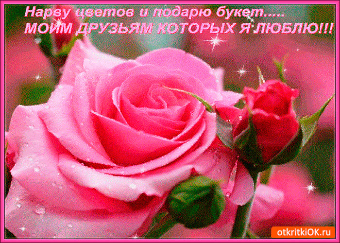 Картинка нарву цветов и подарю букет