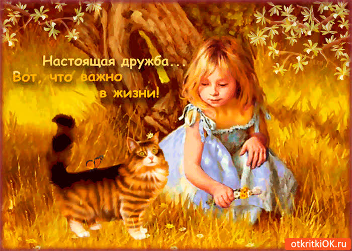 Картинка настоящая дружба - вот что в жизни важно