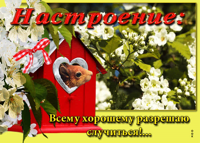 Picture настроение: всему хорошему разрешаю случиться!