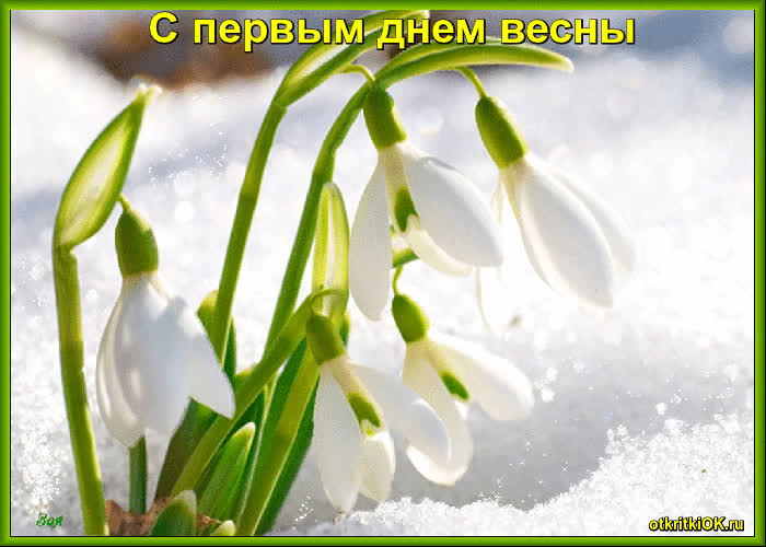 Картинка наступил первый день весны