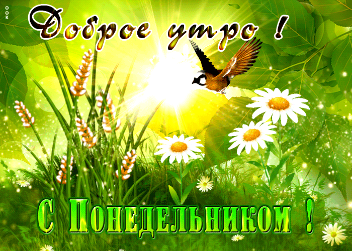 Postcard насыщенная открытка доброе утро! с понедельнииком!