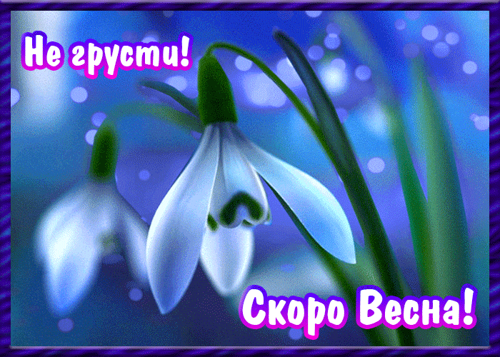 Открытка не грусти, скоро весна!