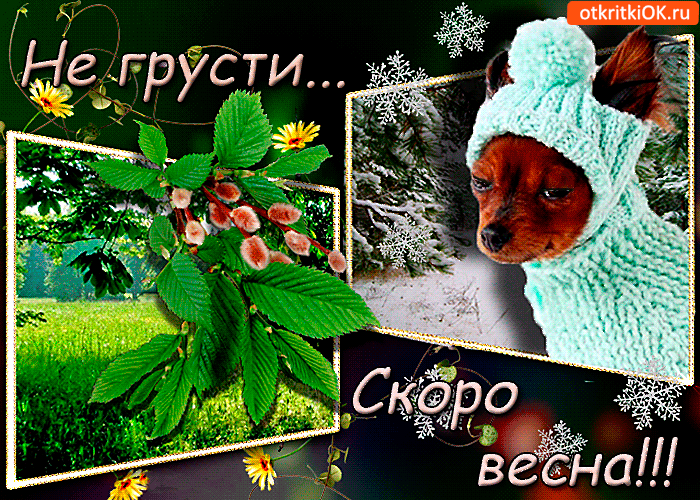 Картинка не грусти скоро весна