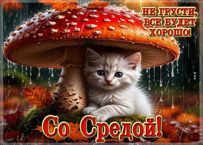 Postcard не грусти, все будет хорошо! со средой