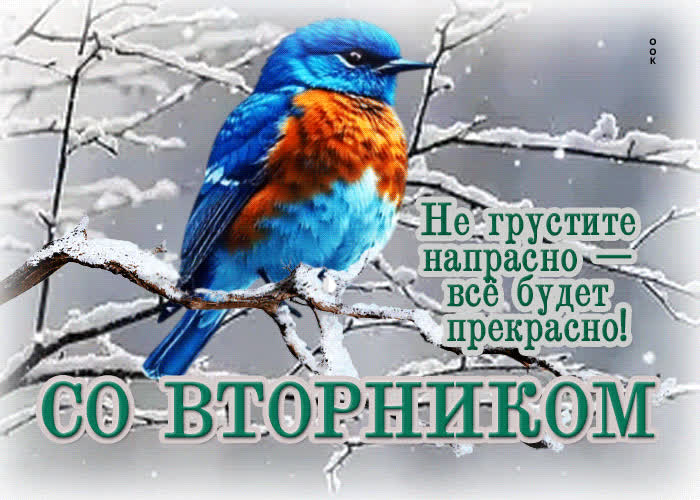 Postcard не грустите напрасно - все будет прекрасно! со вторником