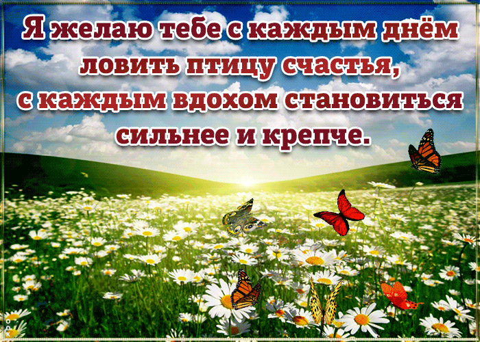 Открытка не обязательно иметь крылья чтобы летать