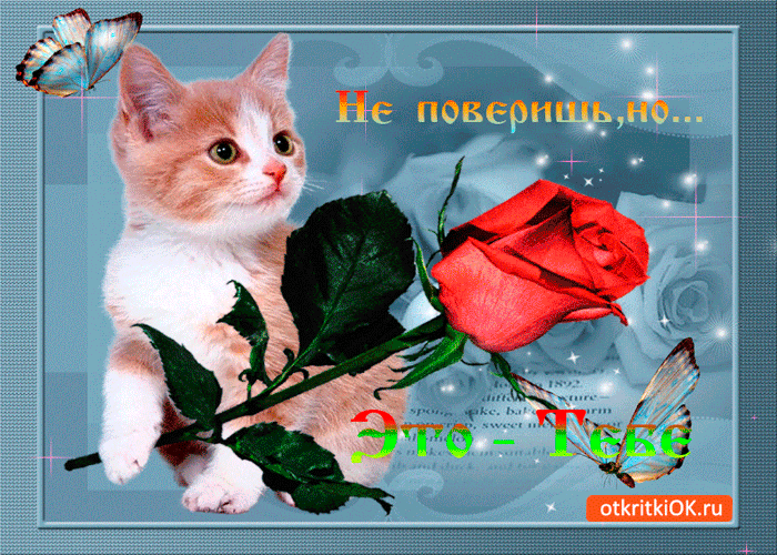 Открытка не поверишь но это тебе