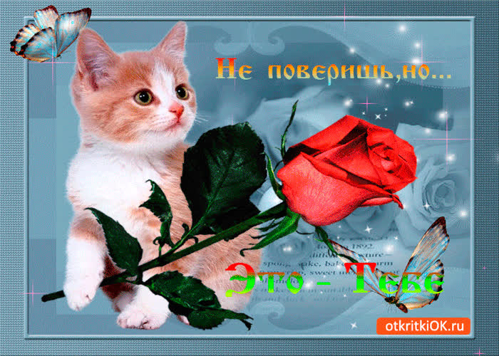 Картинка не поверишь но это тебе