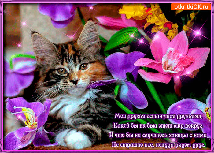 Картинка не страшно всё покуда рядом друг