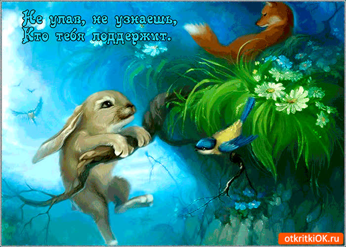 Картинка не упав, не узнаешь, кто тебя поддержит