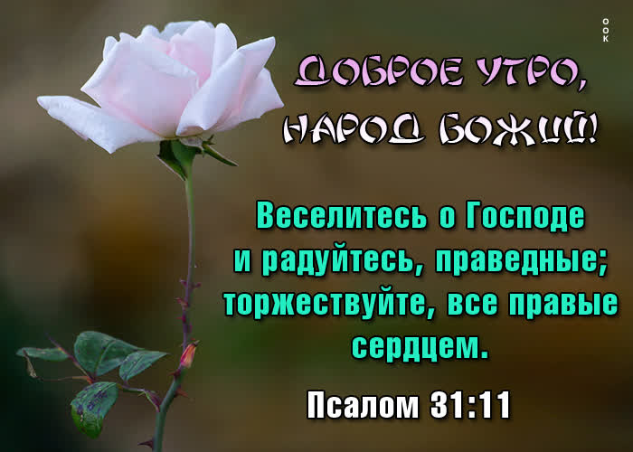 Postcard необычайная открытка доброе утро, народ божий!