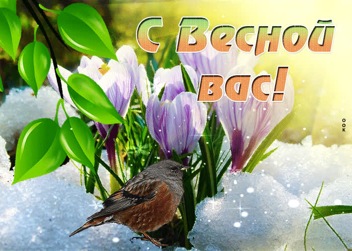 Открытка необычная открытка с весной вас