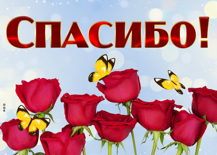 Postcard необычная картинка с розами спасибо!