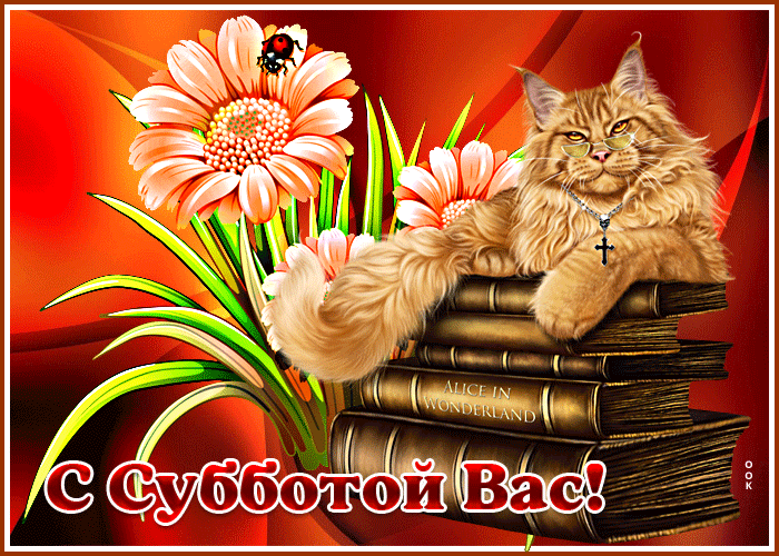 Postcard необычная открытка с котом с субботой вас!