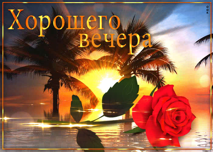 Picture необычная открытка хорошего вечера! с пальмами