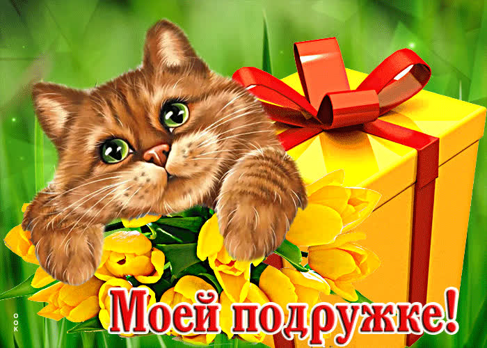 Postcard необыкновенная открытка с котиком и подарком моей подружке