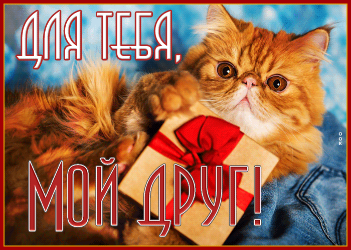 Postcard неотразимая открытка с котиком для тебя, мой друг