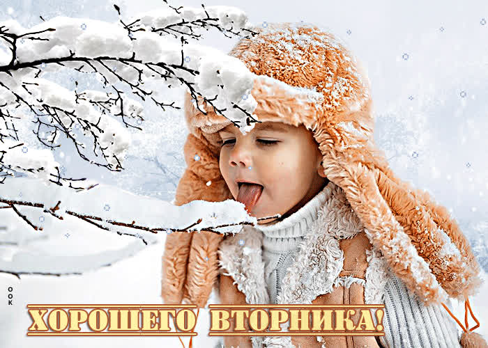 Picture неотразимая снежная открытка хорошего вторника