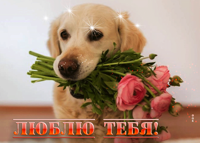 Postcard невероятная и удивительная гиф-открытка люблю тебя