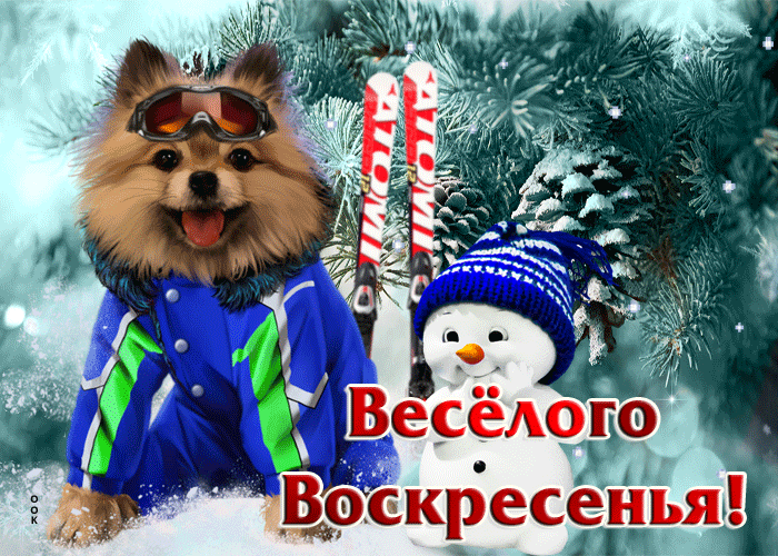 Postcard невероятно-восхитительная открытка веселого воскресенья