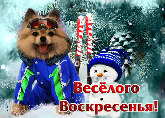 Postcard невероятно-восхитительная открытка веселого воскресенья