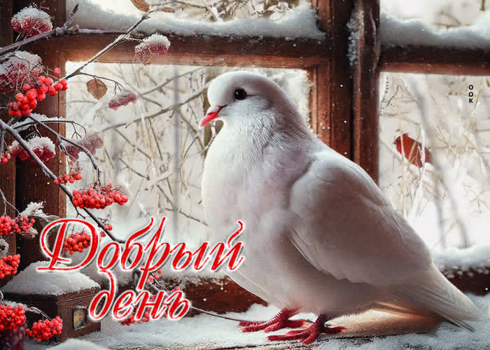 Postcard незаурядная зимняя гиф-открытка добрый день