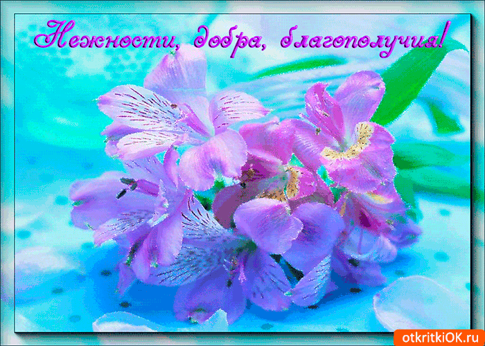 Открытка нежности, добра и благополучия