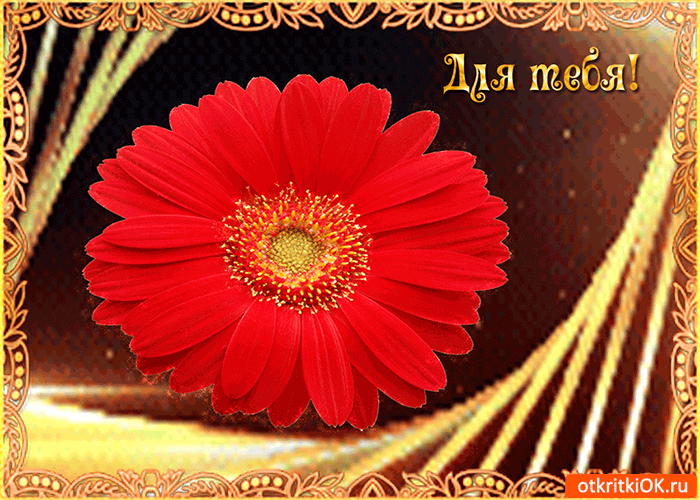 Открытка нежный цветок только для тебя