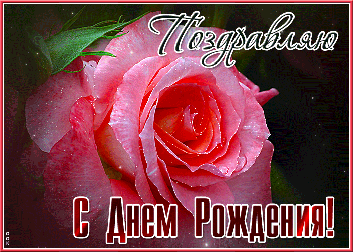 Postcard нежная анимационная открытка поздравляю с днем рождения