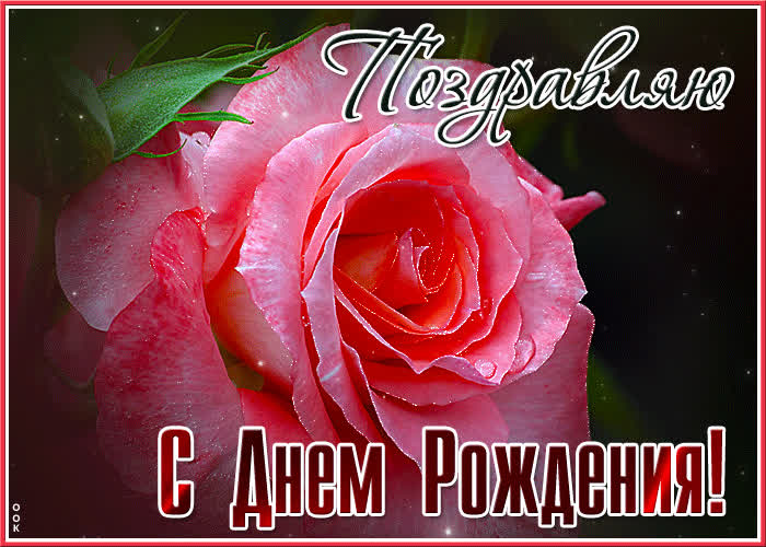 Postcard нежная анимационная открытка поздравляю с днем рождения