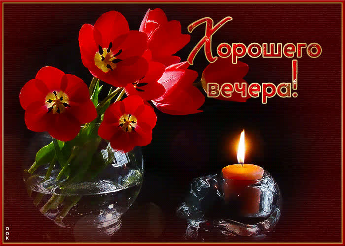Postcard нежная анимационная открытка с маками хорошего вечера