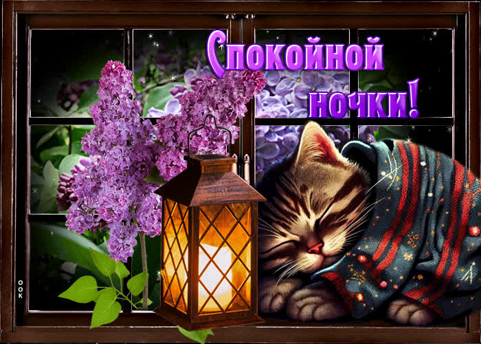 Postcard нежная и ласковая открытка с сиренью спокойной ночки