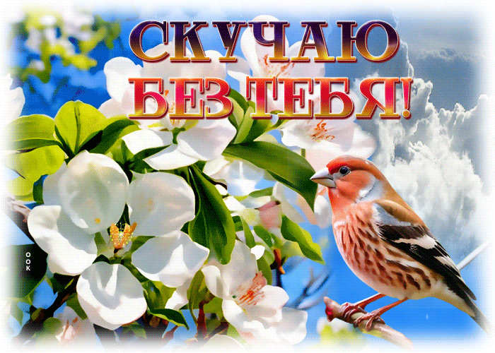 Picture нежная и романтичная весенняя гиф-открытка скучаю без тебя