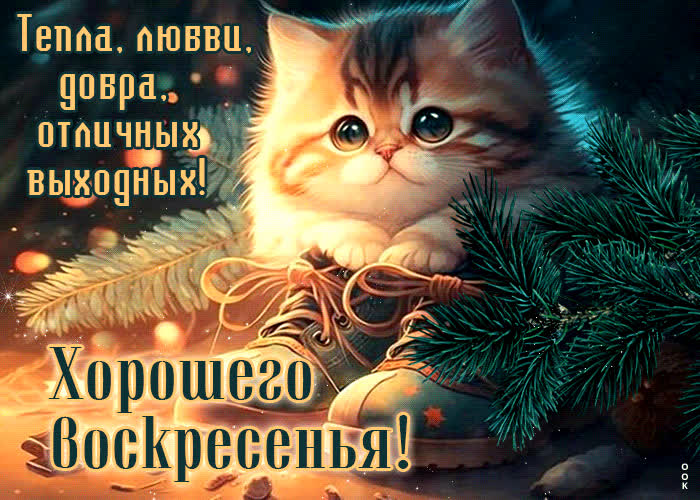 Postcard нежная и заботливая гиф-открытка тепла, любви, добра