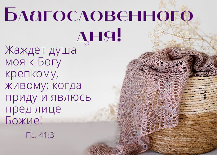 Picture нежная картинка благословенного дня!