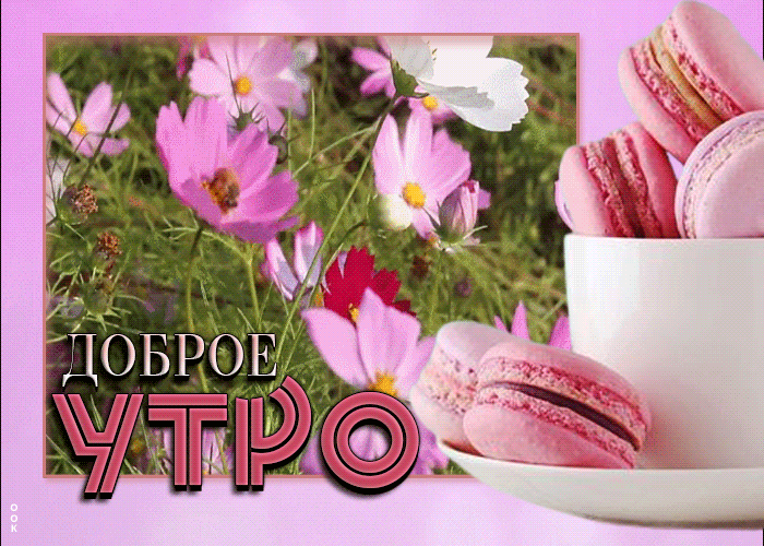 Postcard нежная открытка доброе утро! с маскарпоне