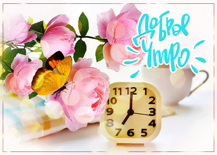 Postcard нежная открытка с пиончиками доброе утро