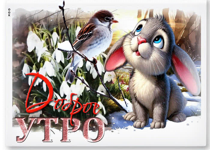 Postcard нежная весенняя открытка доброе утро