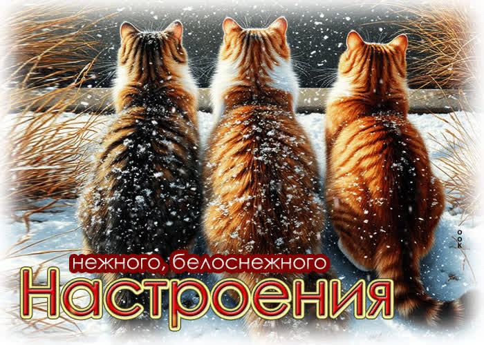 Picture нежного, белоснежного настроения