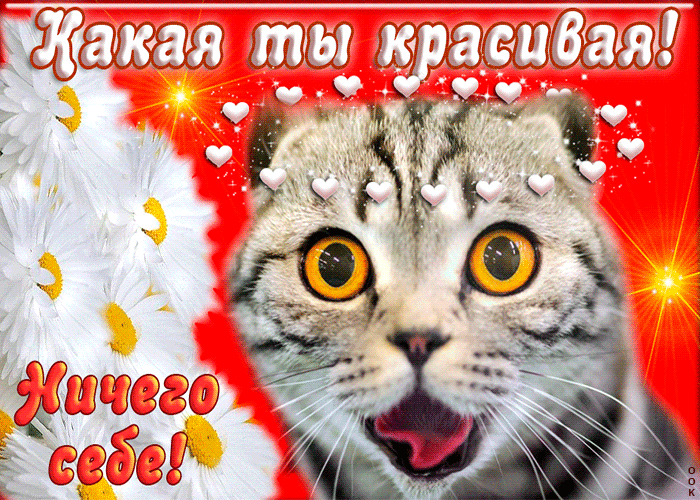 Картинка ничего себе какая же ты у меня красивая подружка