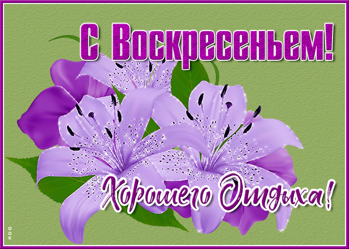 Картинка новая открытка с воскресеньем, хорошего отдыха