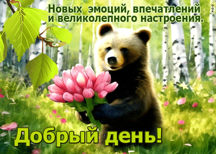 Postcard новых эмоций, впечатлений и великолепного настроения! добрый день