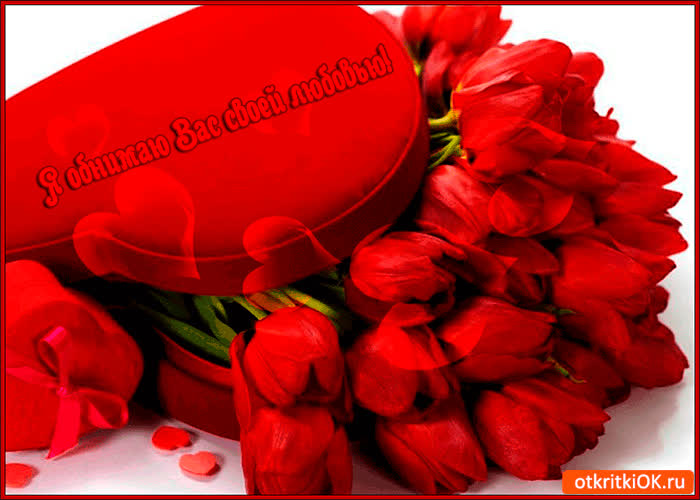 Картинка обнимаю вас своей любовью