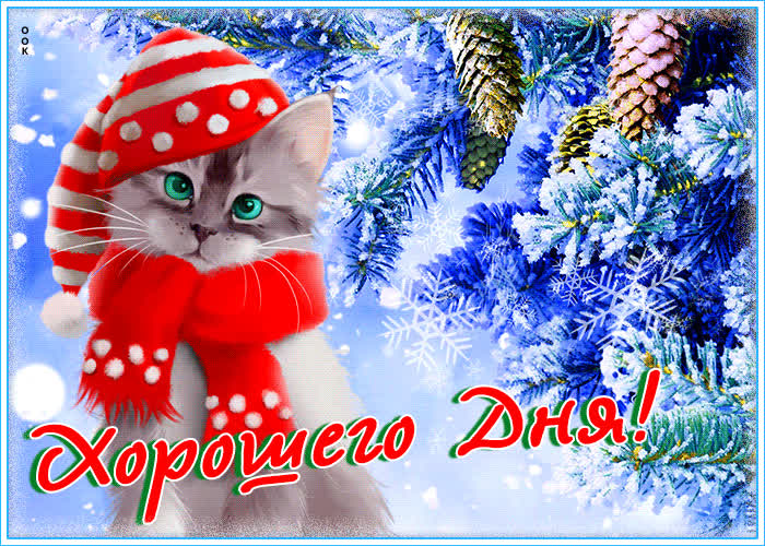 Picture обворожительная открытка с котиком хорошего дня