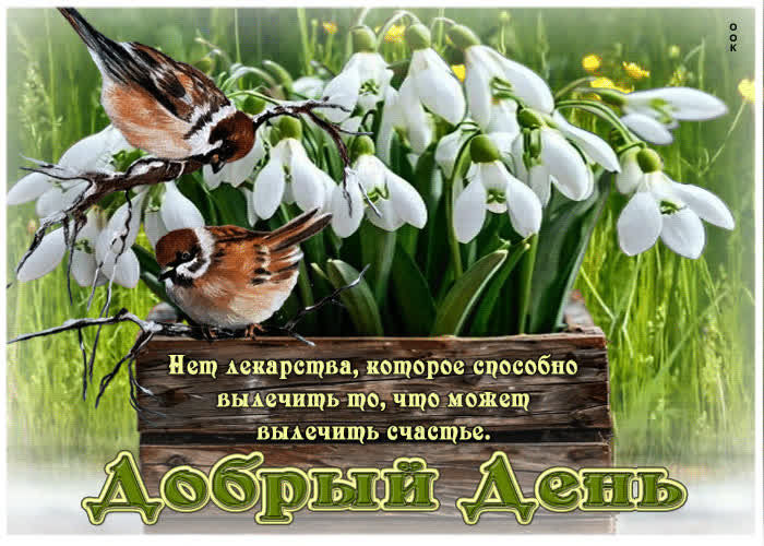 Picture обворожительная весенняя гиф-открытка добрый день